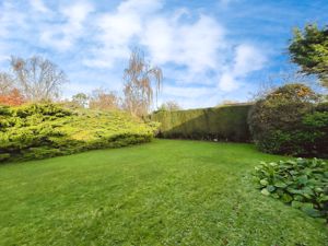 Photo 24- click for photo gallery